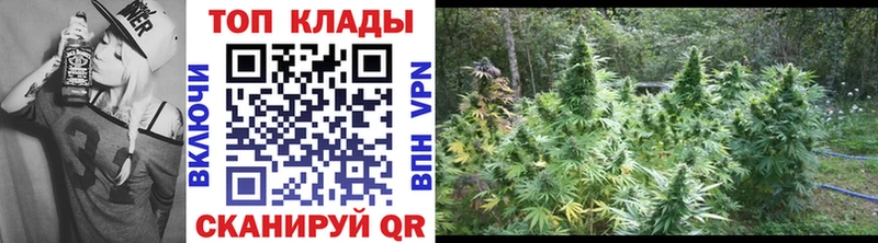 Где продают наркотики Тихвин Кокаин  Псилоцибиновые грибы  ГАШ  СОЛЬ 