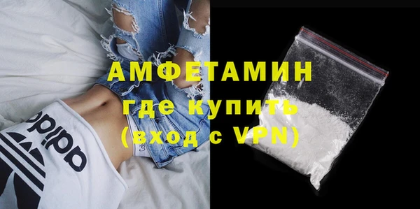 молекула духа Ладушкин