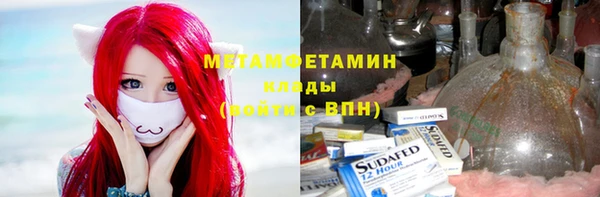 молекула духа Ладушкин