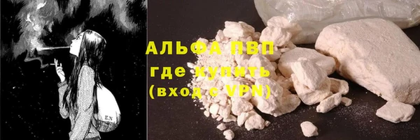 молекула духа Ладушкин