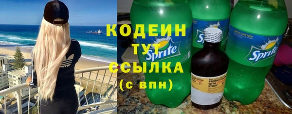 молекула духа Ладушкин