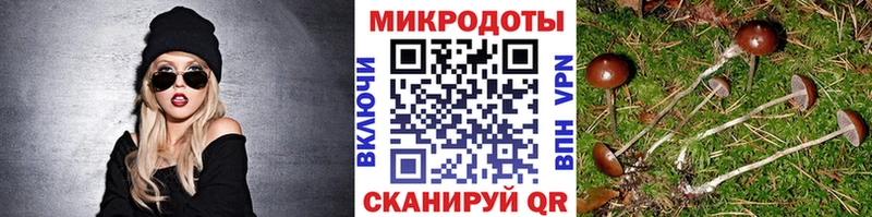 что такое наркотик  Тихвин  Галлюциногенные грибы прущие грибы 