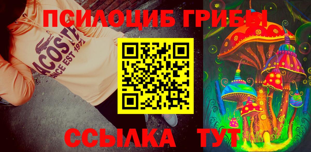Псилоцибиновые грибы мухоморы Тихвин